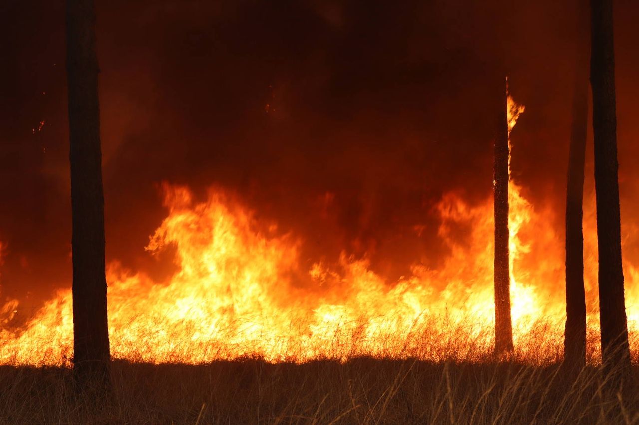 Foto: Persbureau Heitink