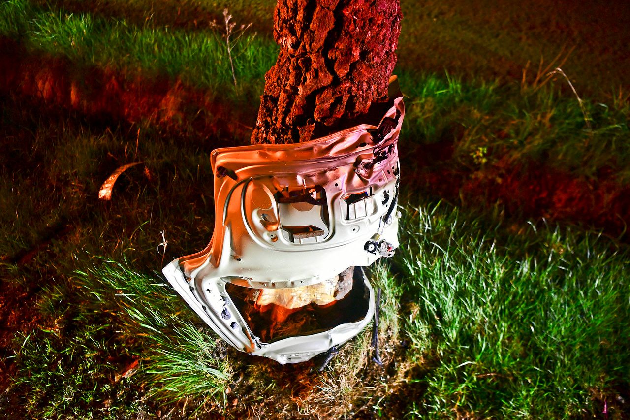 Foto: Rico Vogels/Persbureau Heitink.