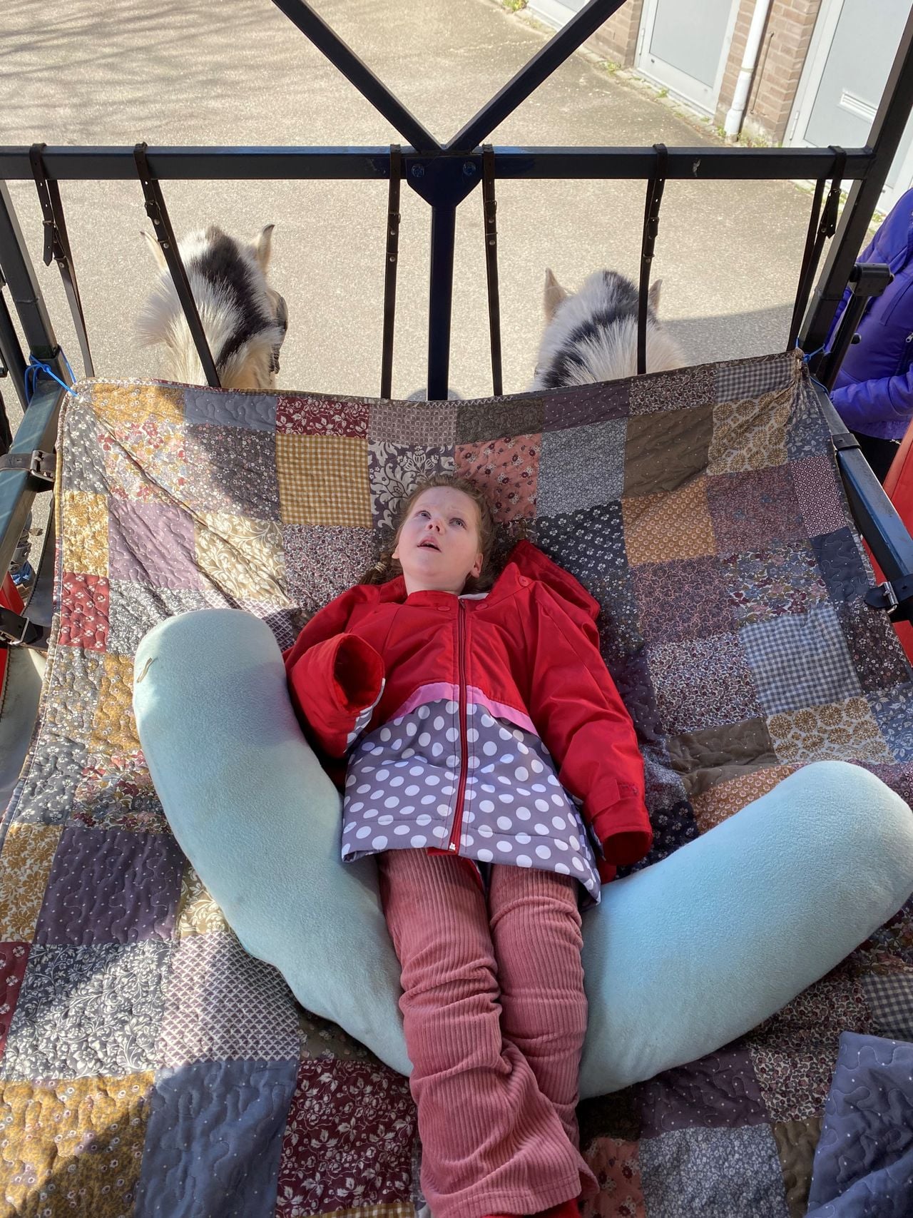 Elsa tijdens het huifbedrijden (Foto: via Rob Berkers)