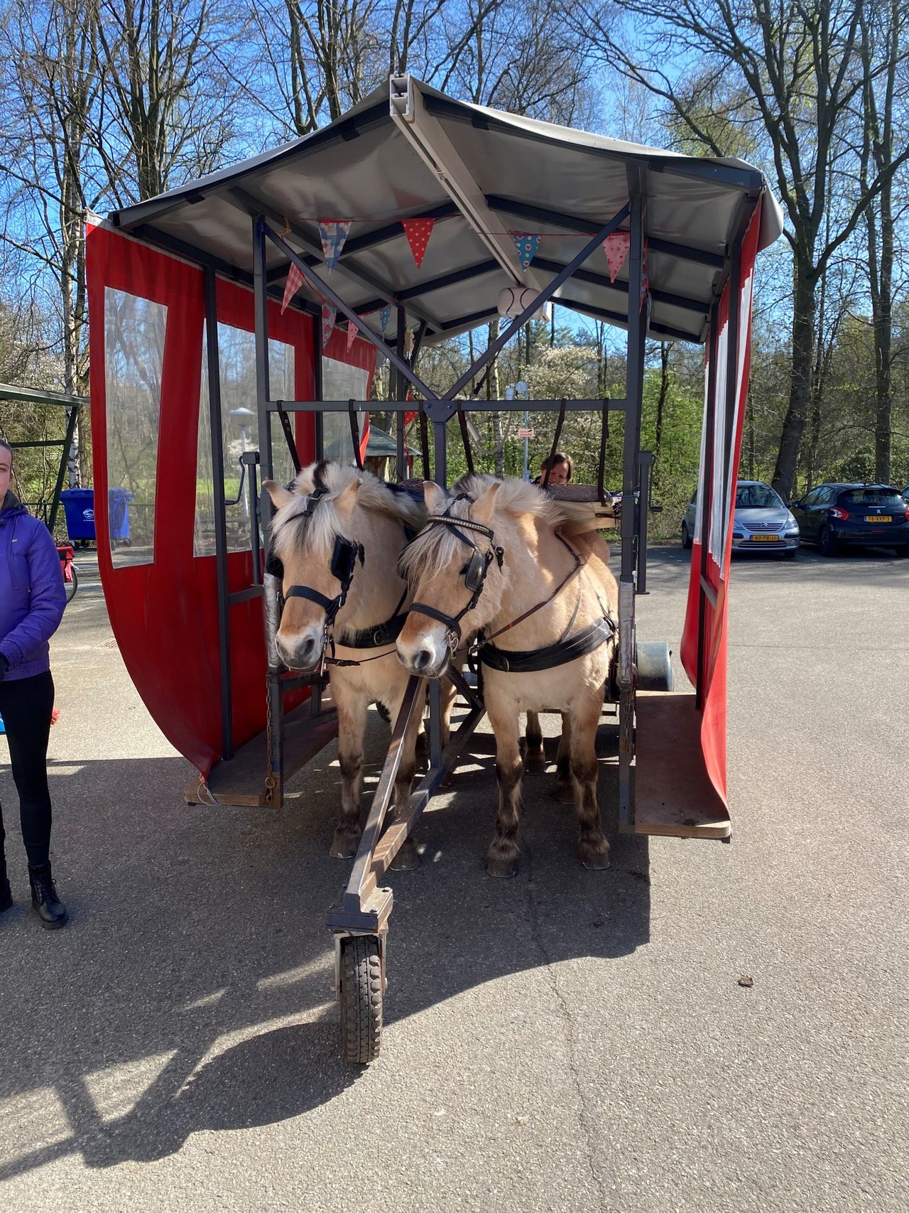 De stellage voor het huifbedrijden (Foto: via Rob Berkers)