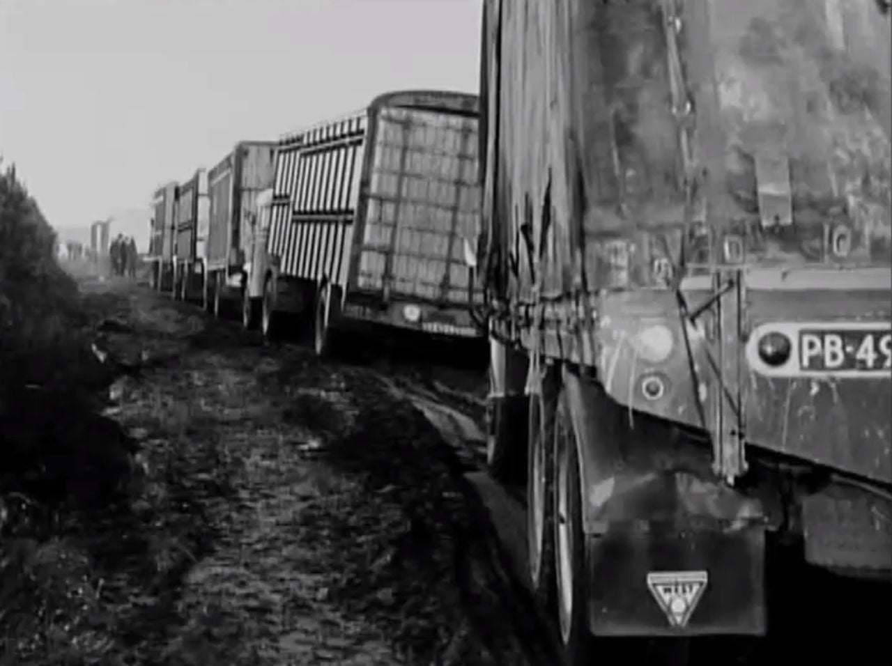 Een grote colonne vrachtwagens met varkens op weg naar het massagraf in Sint Anthonis (bron: Andere Tijden).