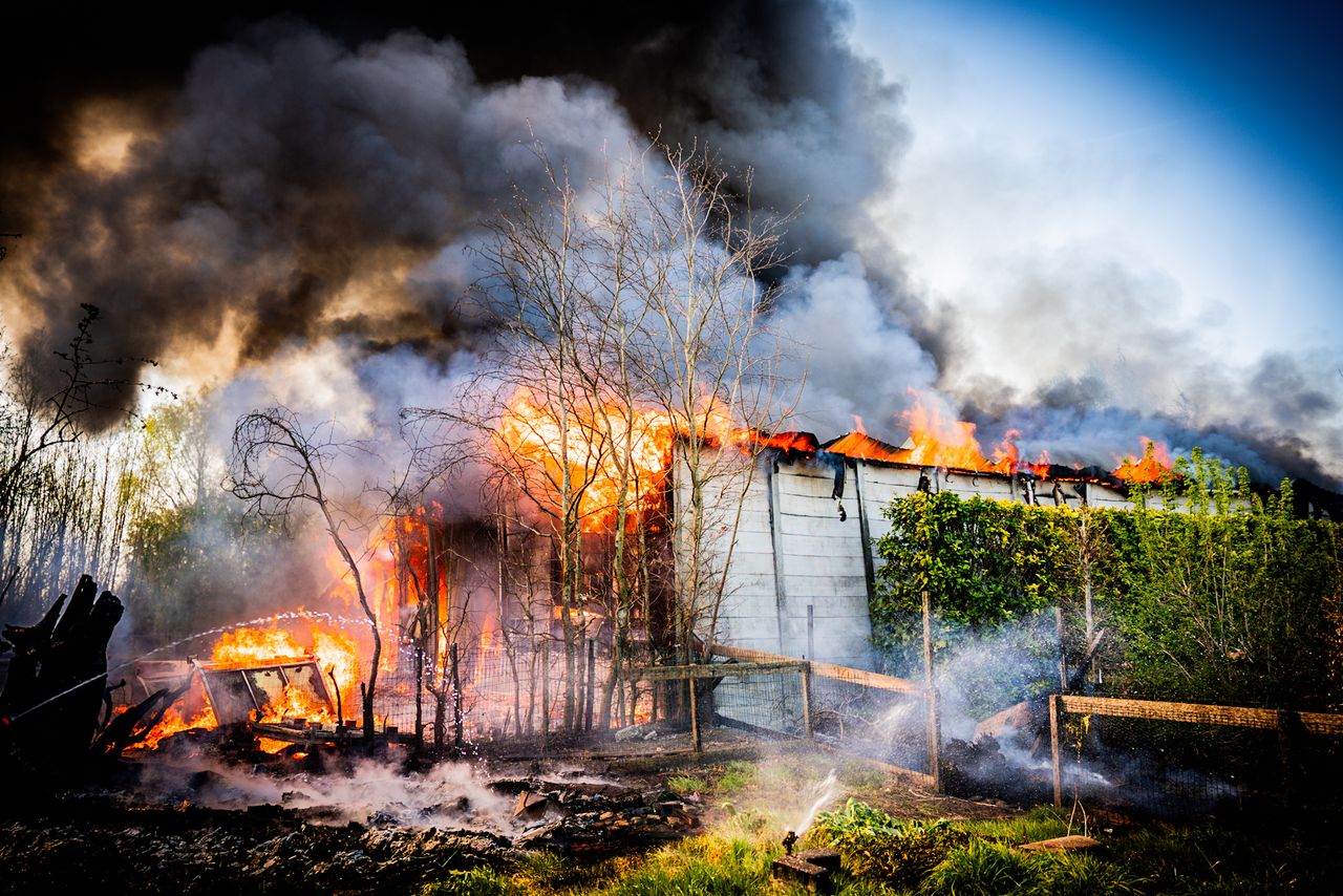Foto: Roland Heitink/Persbureau Heitink