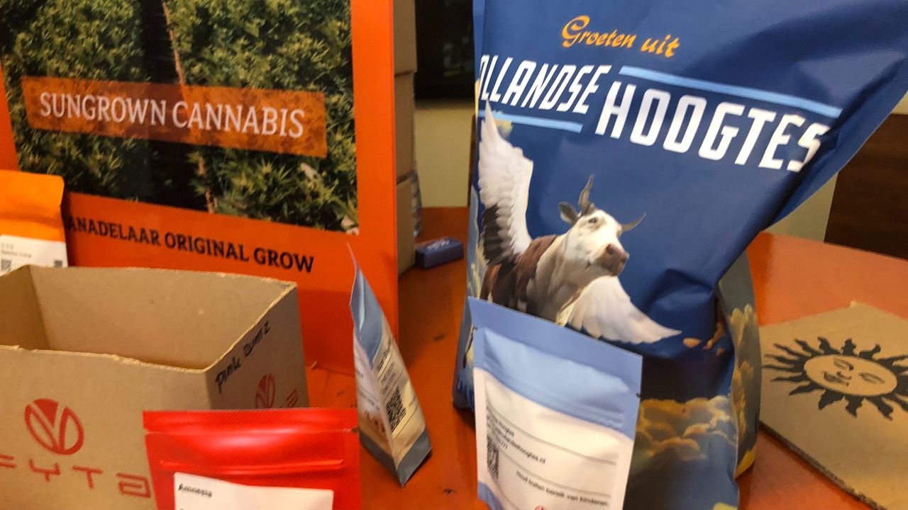 De variatie aan wietproducten neemt steeds verder toe (foto: Willem-Jan Joachems)