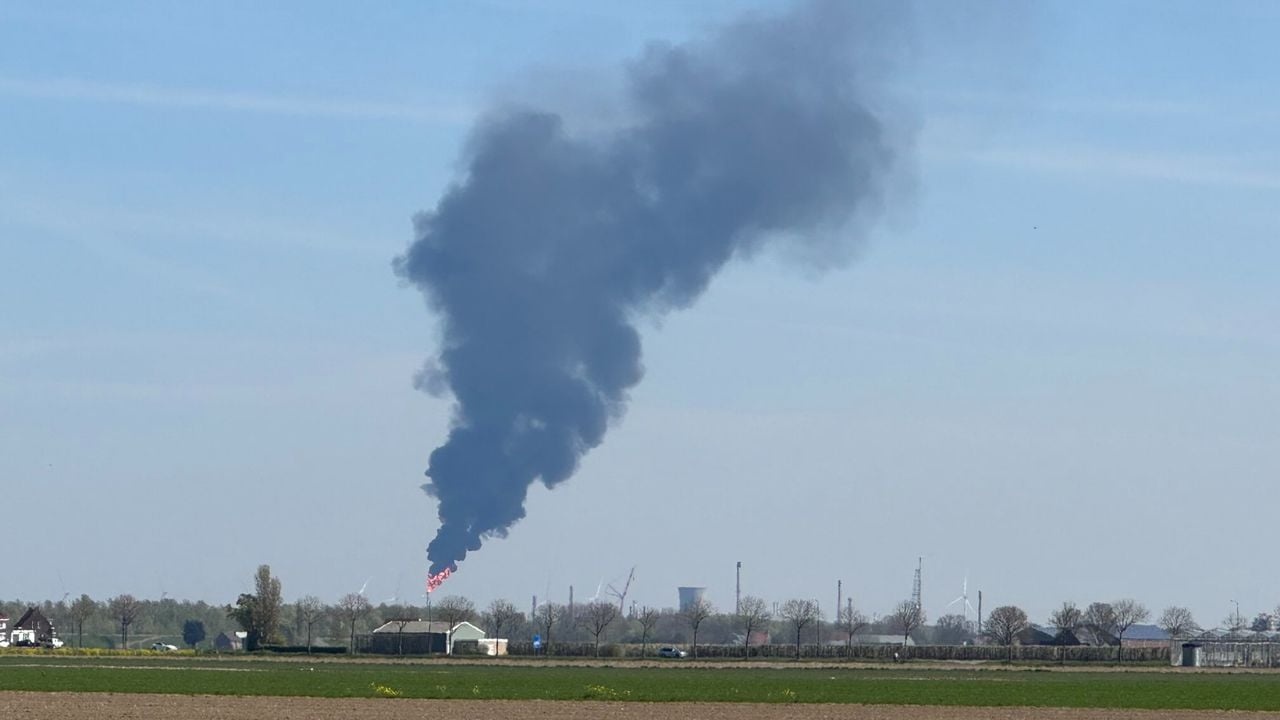 De pluim vanuit Willemstad (foto: Vissertje1966/X).