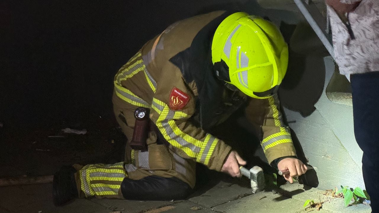 Foto: Dylan van Mourik