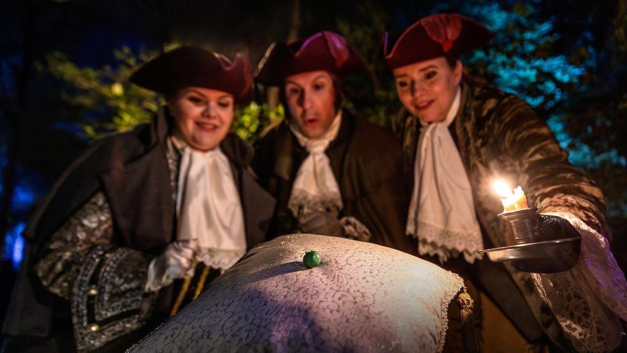 De slaapverstorende erwt uit het sprookje (foto: Efteling.)