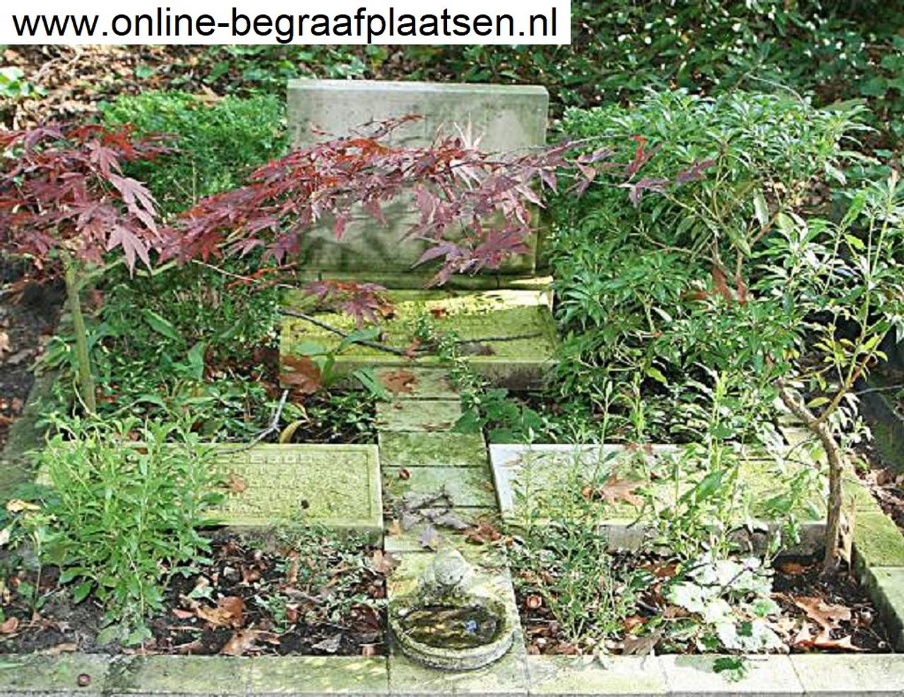 Het familiegraf van Cornelis Riezebos zoals het erbij lag.