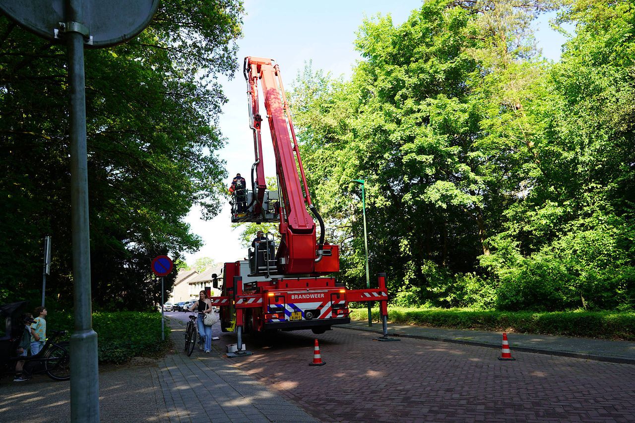 Foto: Jeroen Stuve/Persbureau Heitink.