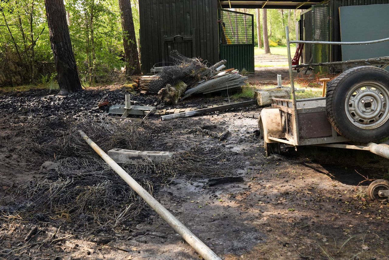 Foto: Harrie Grijseels/Persbureau Heitink.