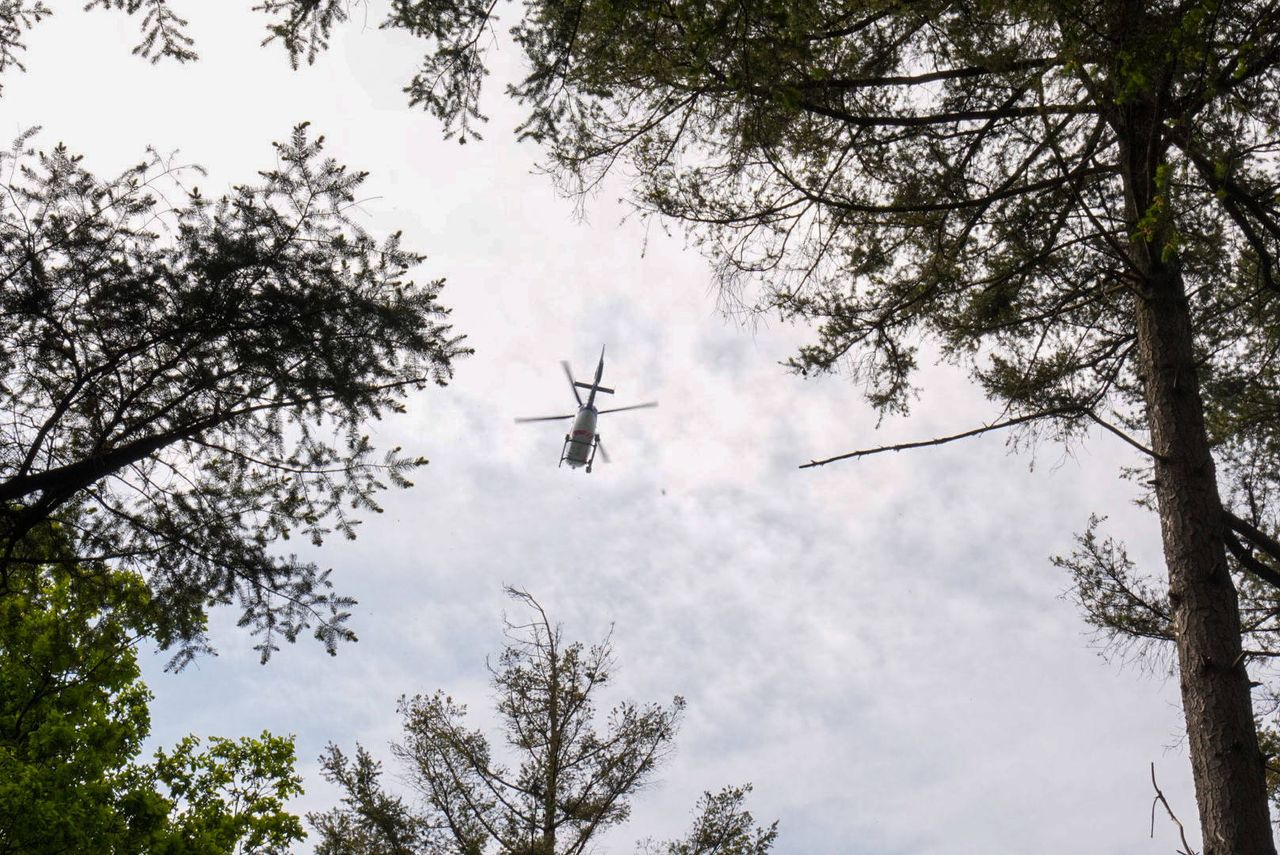 Foto: Harrie Grijseels/Persbureau Heitink.