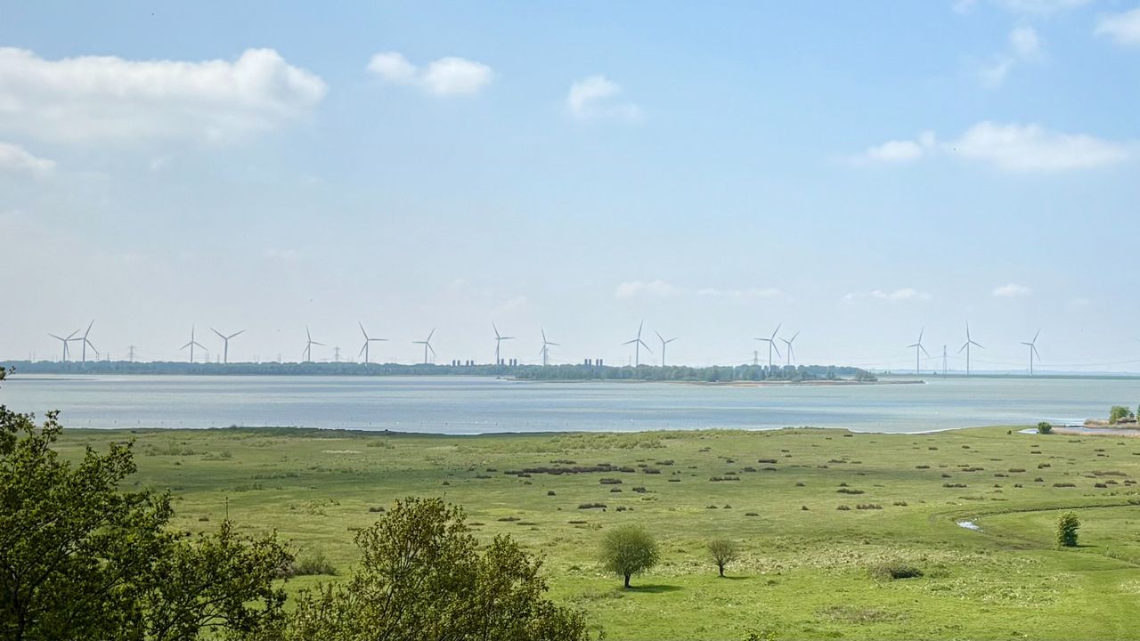 Het Markiezaatsmeer gezien vanuit Bergen op Zoom (foto: Erik Peeters).