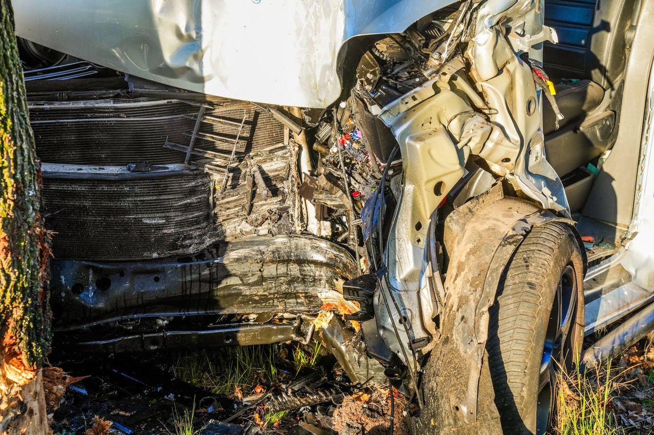 Foto: Dave Hendriks/Persbureau Heitink.