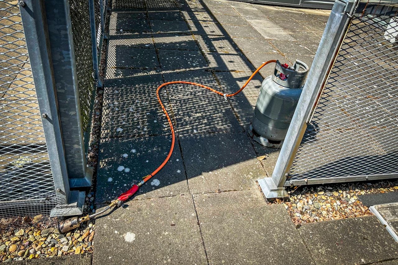 Foto: Persbureau Heitink