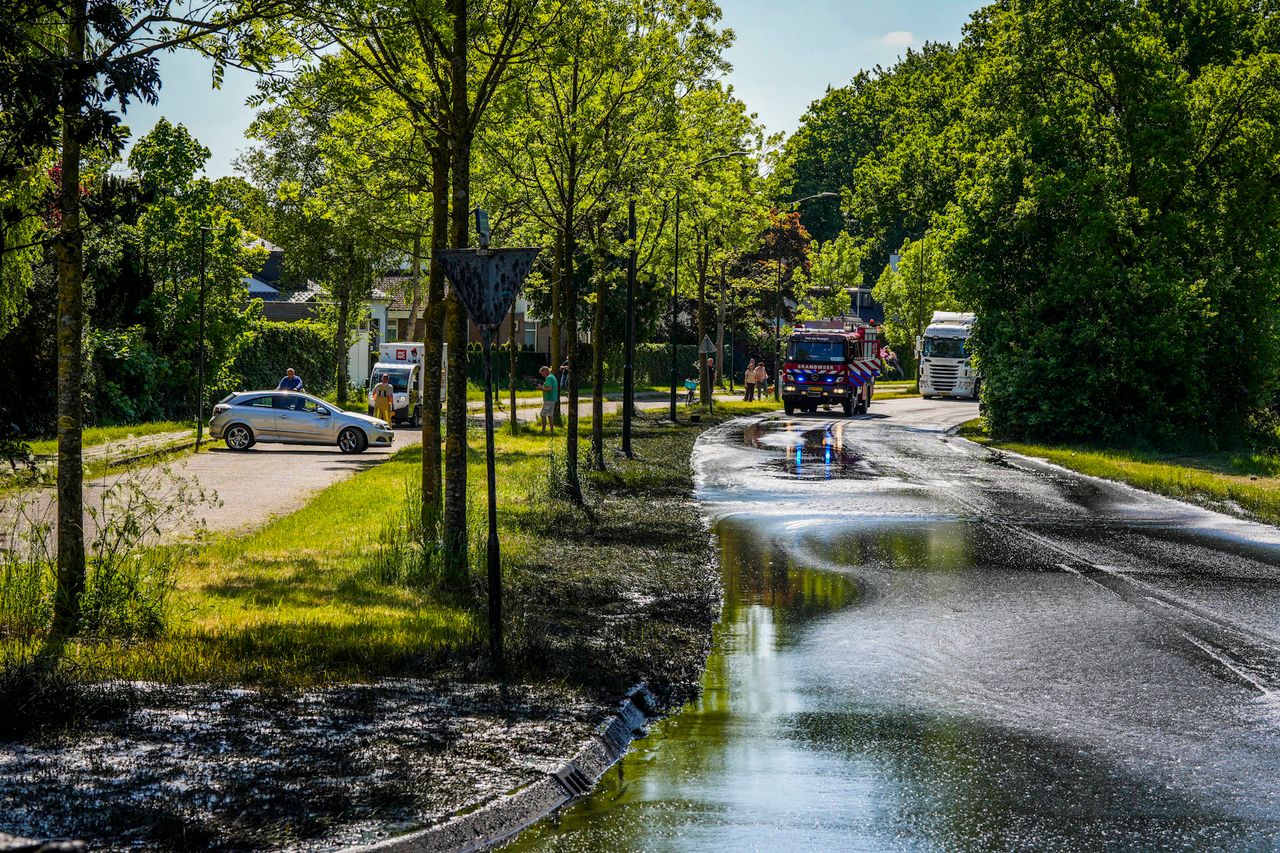 Foto: Persbureau Heitink. 