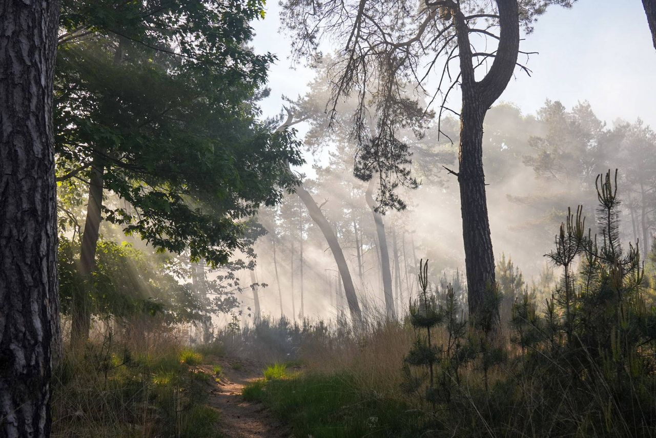 Foto: Harrie Grijseels/Persbureau Heitink. 