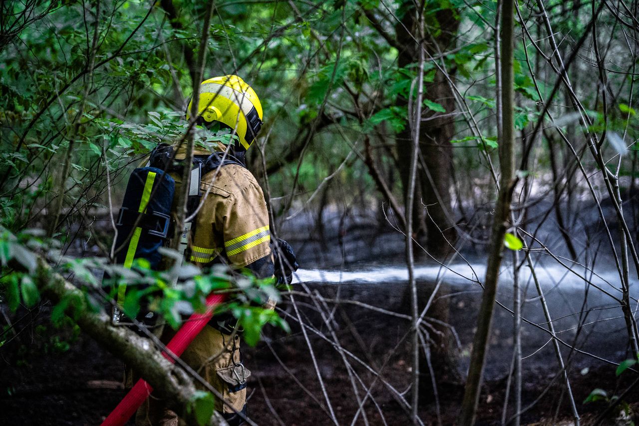 Foto: Lucas Lammers/Persbureau Heitink.