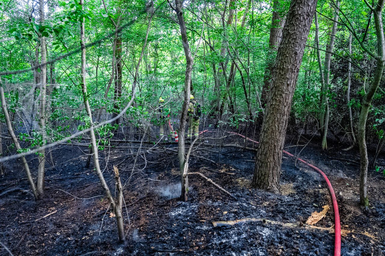 Foto: Lucas Lammers/Persbureau Heitink.