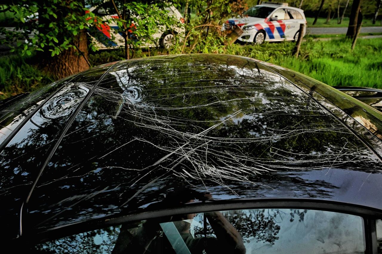 Dronken bestuurder crasht door prikkeldraad (foto: Toby de Kort/Persbureau Heitink).