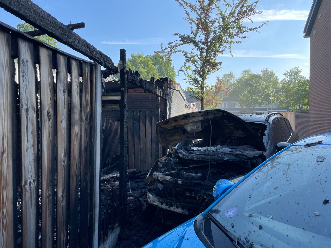 Foto: René van Hoof.