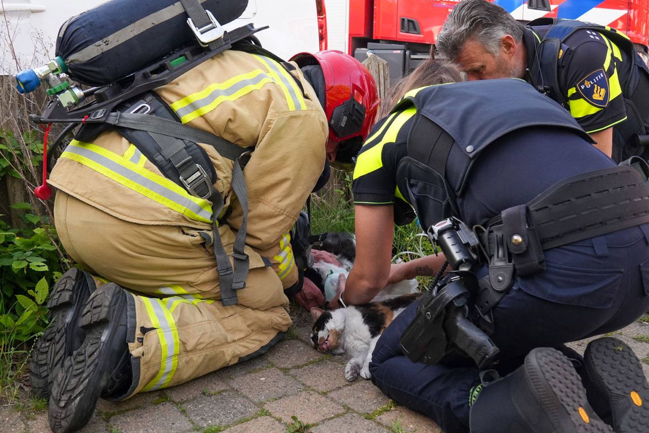 Foto: Harrie Grijseels/Persbureau Heitink.