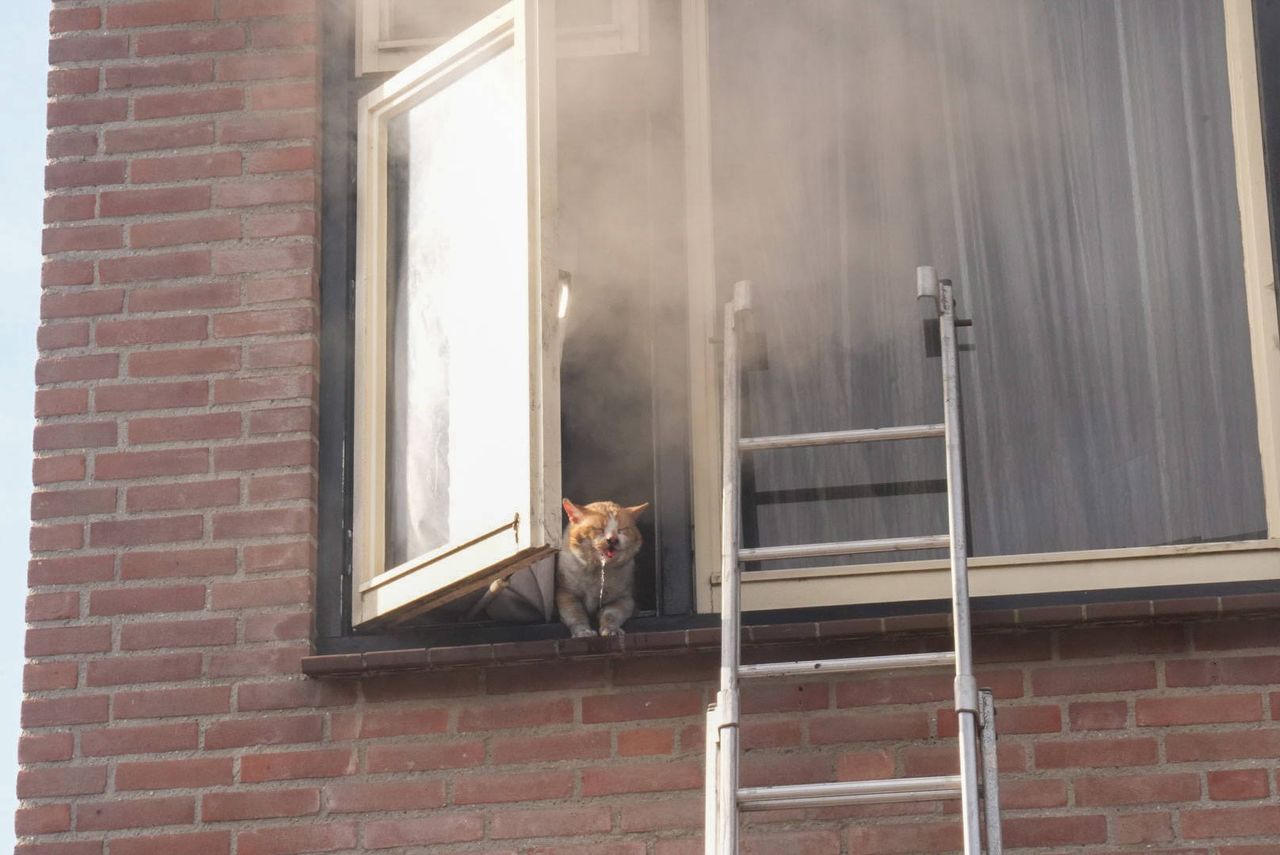 Foto: Harrie Grijseels/SQ Vision.