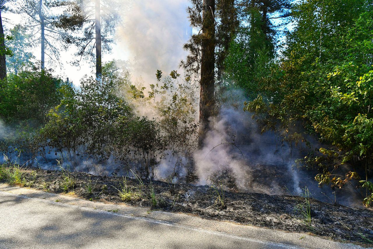 Foto: Persbureau Heitink.