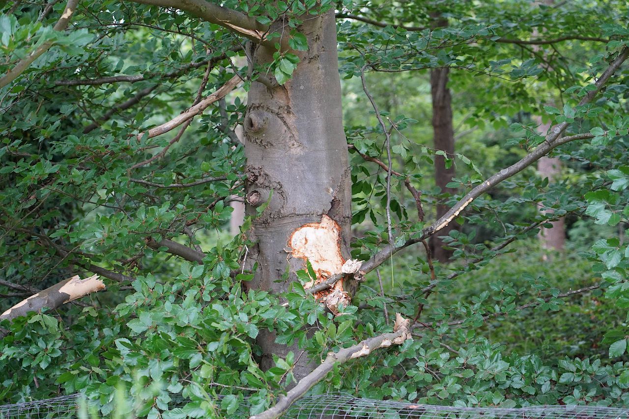Foto: Jeroen Stuve/Persbureau Heitink.