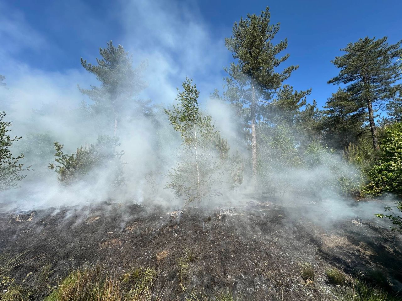 Foto: Dave Hendriks / Persbureau Heitink 