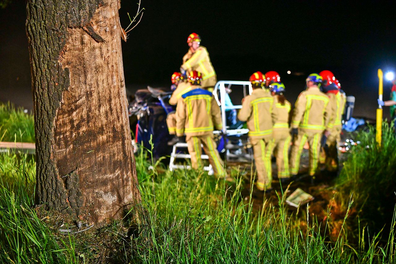 Foto: Rico Vogels/Persbureau Heitink.