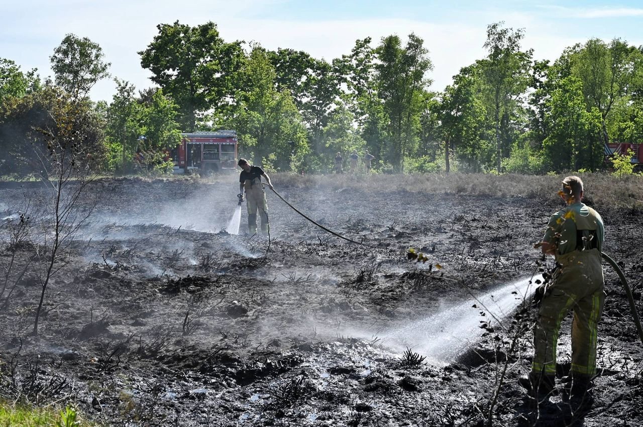 Foto: Toby de Kort/Persbureau Heitink.