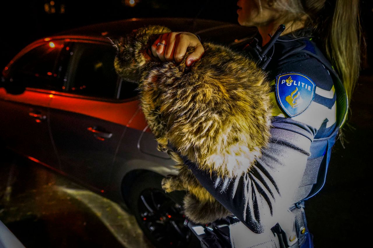 Foto: Persbureau Heitink