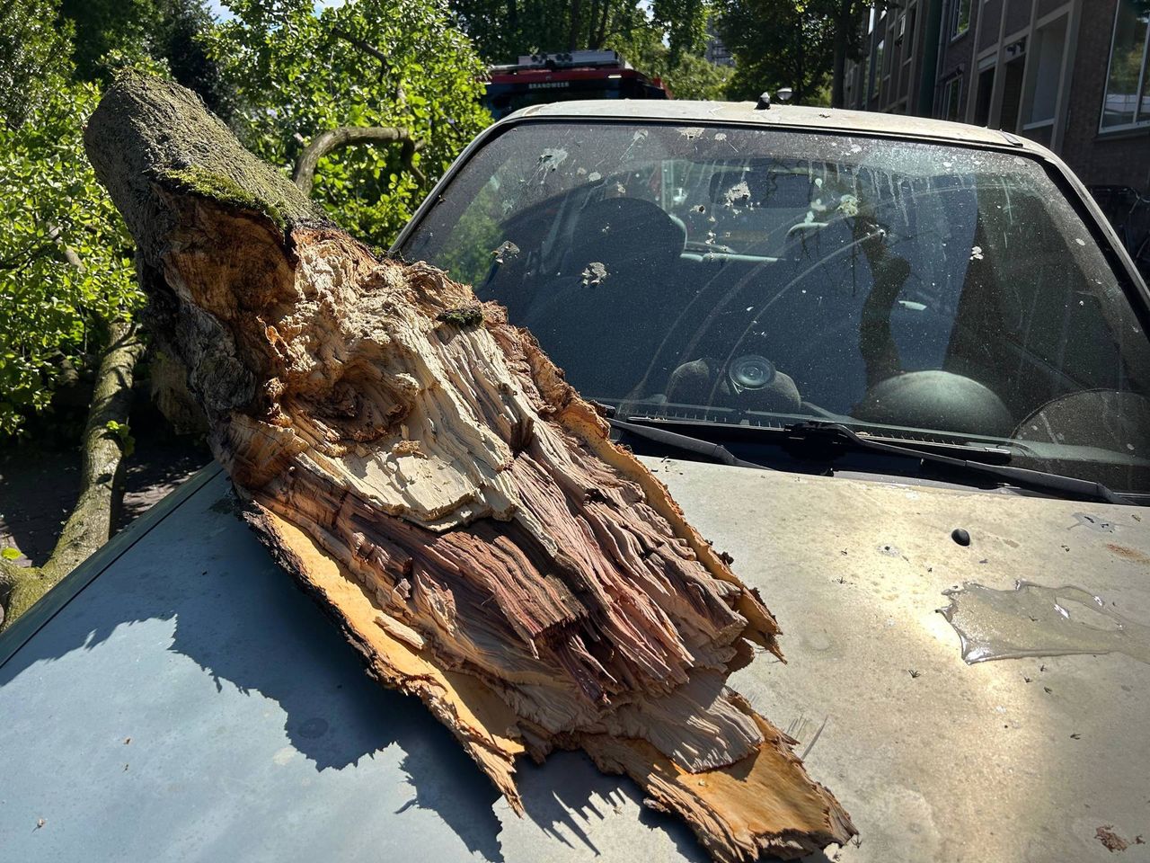 Foto: Persbureau Heitink