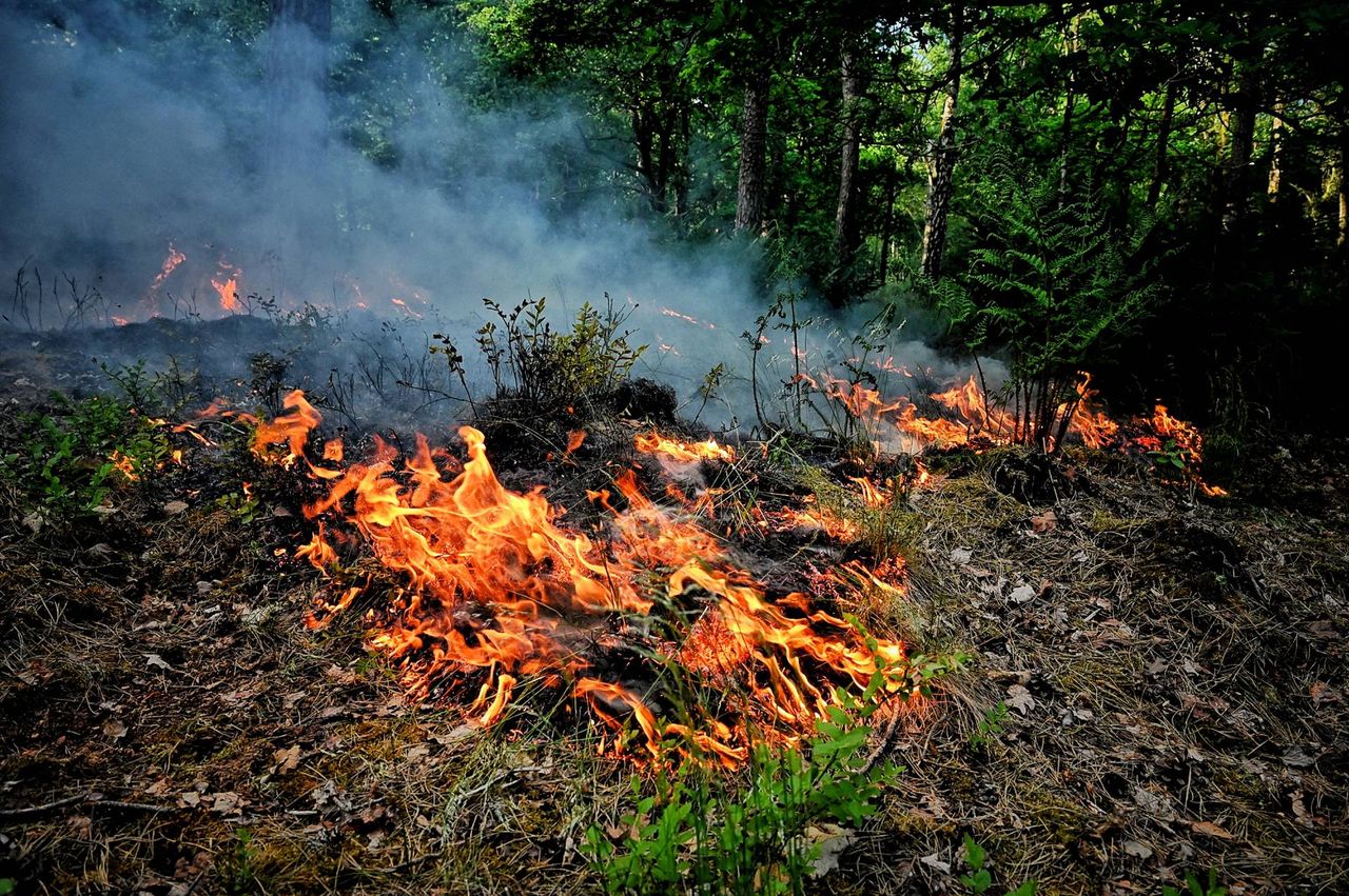 Foto: Toby de Kort / Persbureau Heitink 