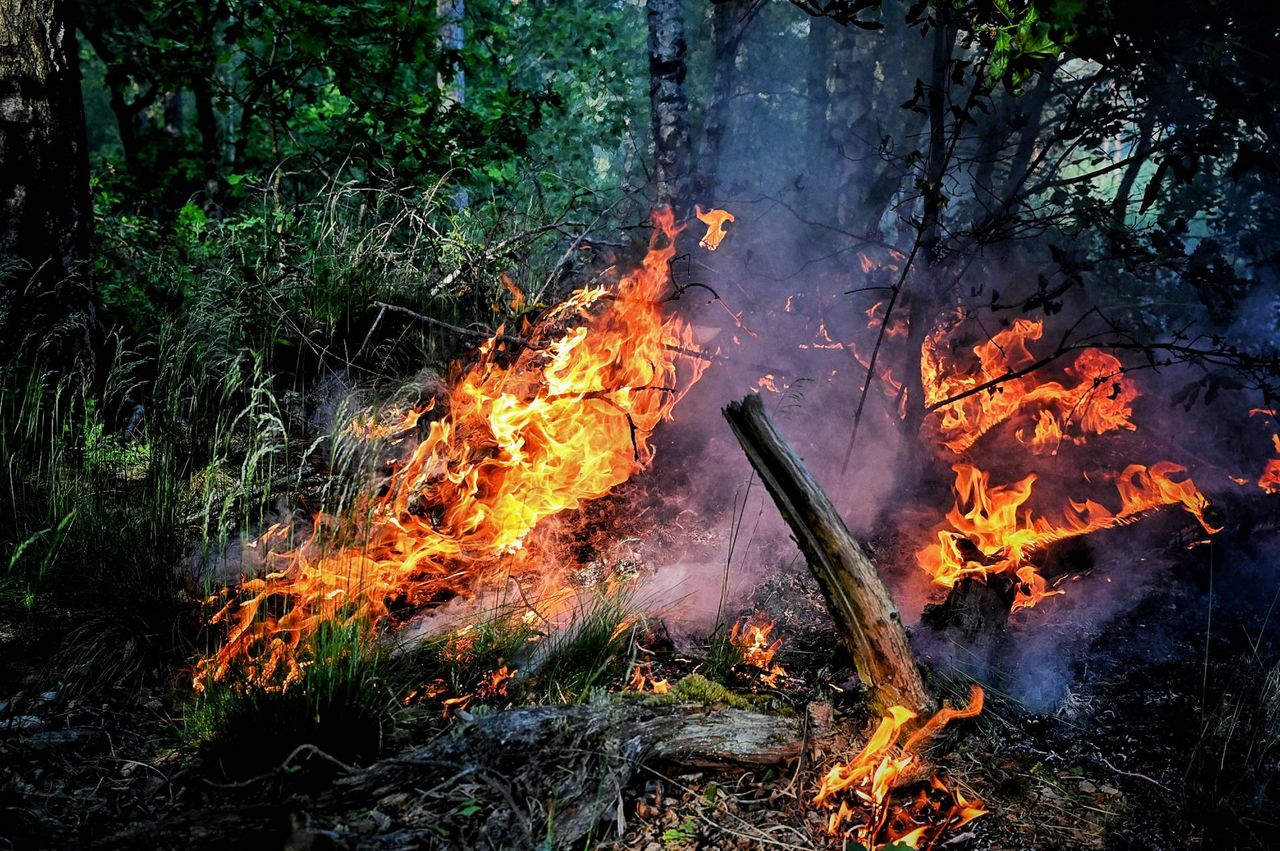 Foto: Toby de Kort / Persbureau Heitink 