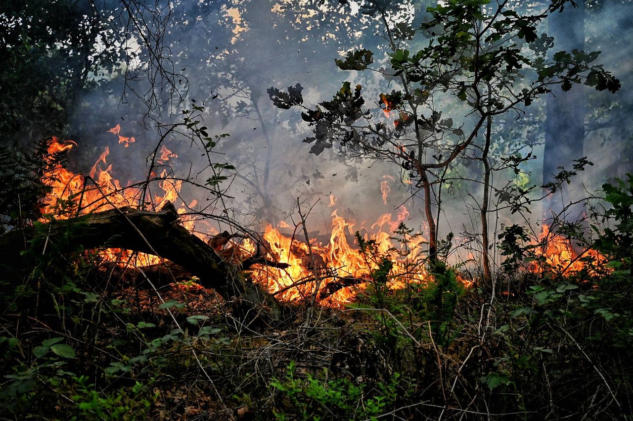 Foto: Toby de Kort / Persbureau Heitink 