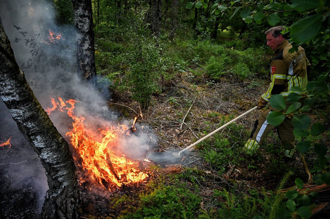 Foto: Toby de Kort / Persbureau Heitink 