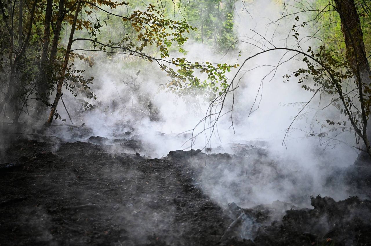 Foto: Toby de Kort/Persbureau Heitink.
