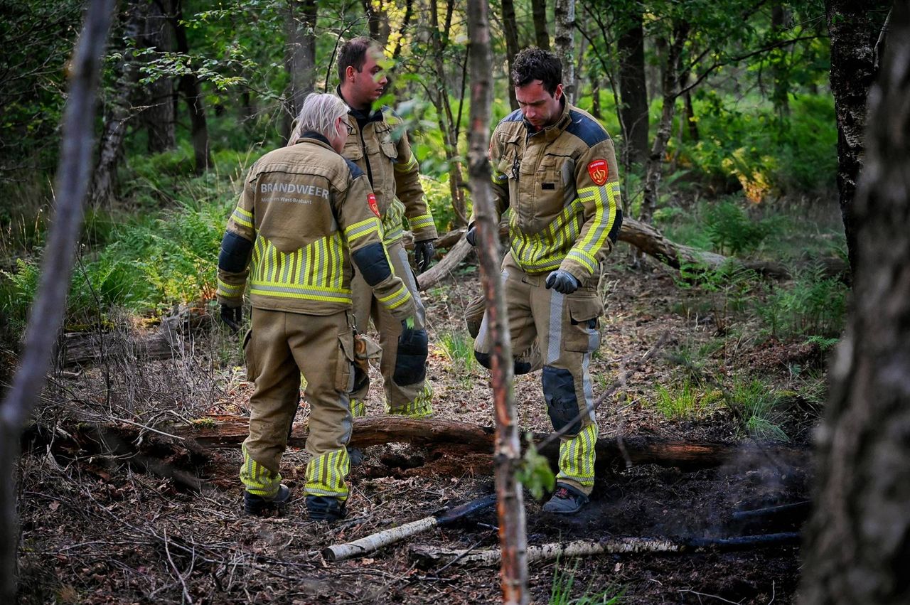 Foto: Toby de Kort/Persbureau Heitink.
