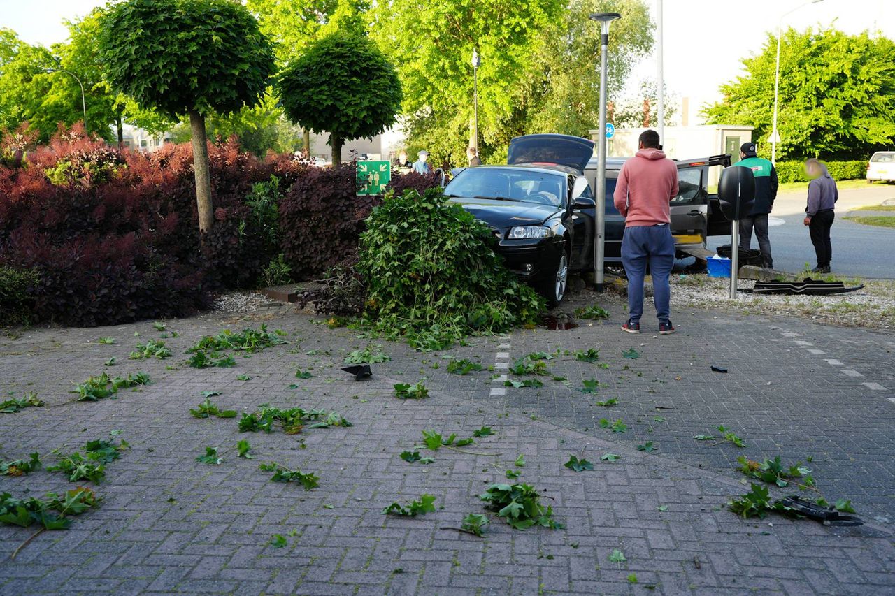 Het boompje maakt het minder goed (Foto: Erik Haverhals/ Persbureau Heitink.)