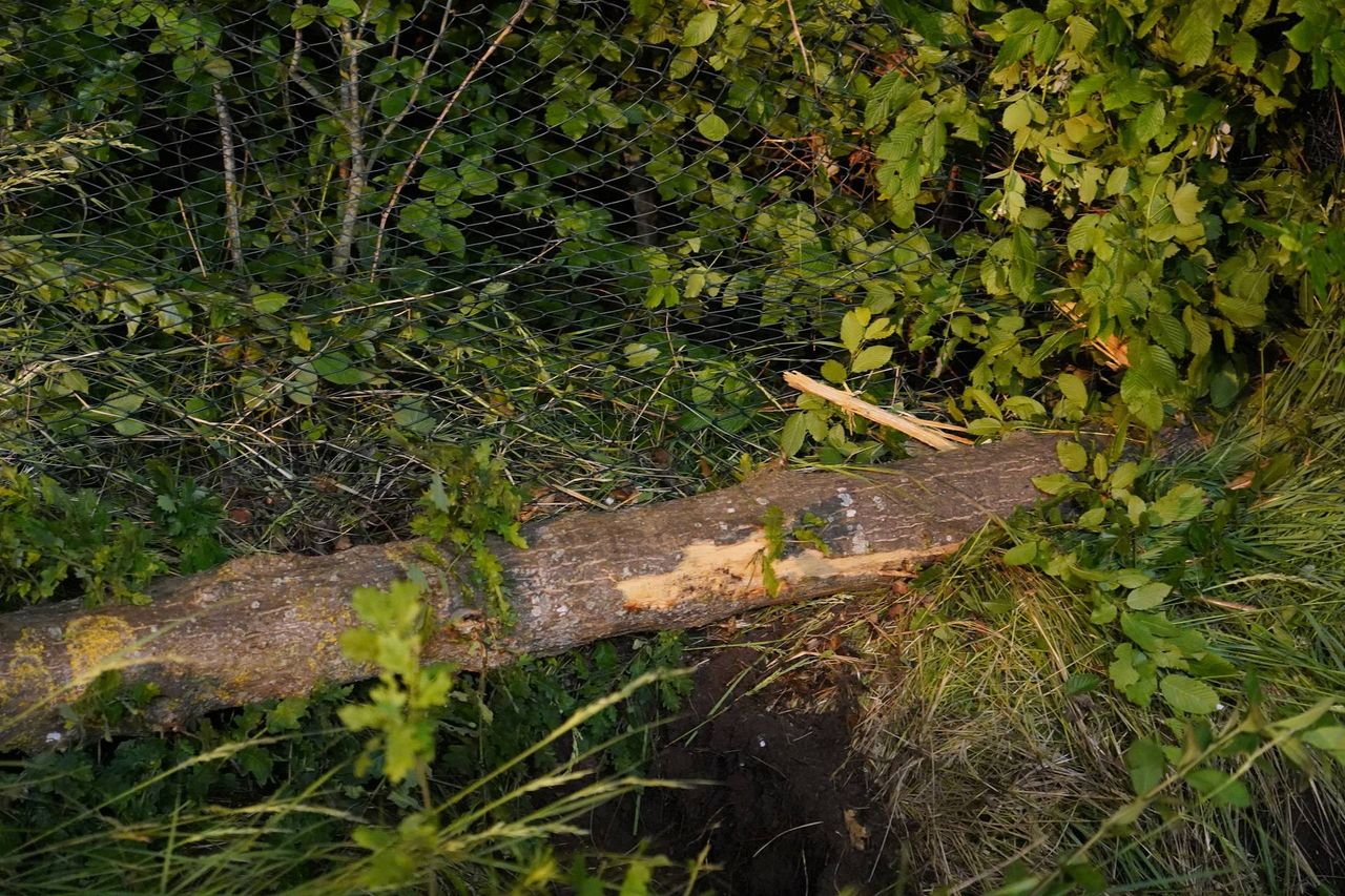 Foto: Jeroen Stuve/Persbureau Heitink.