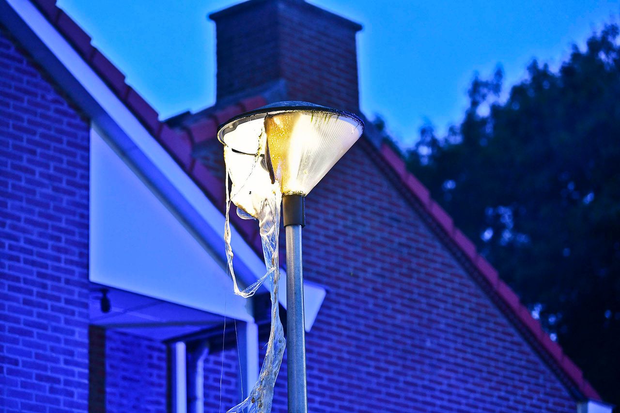 Foto: Rico Vogels/Persbureau Heitink.