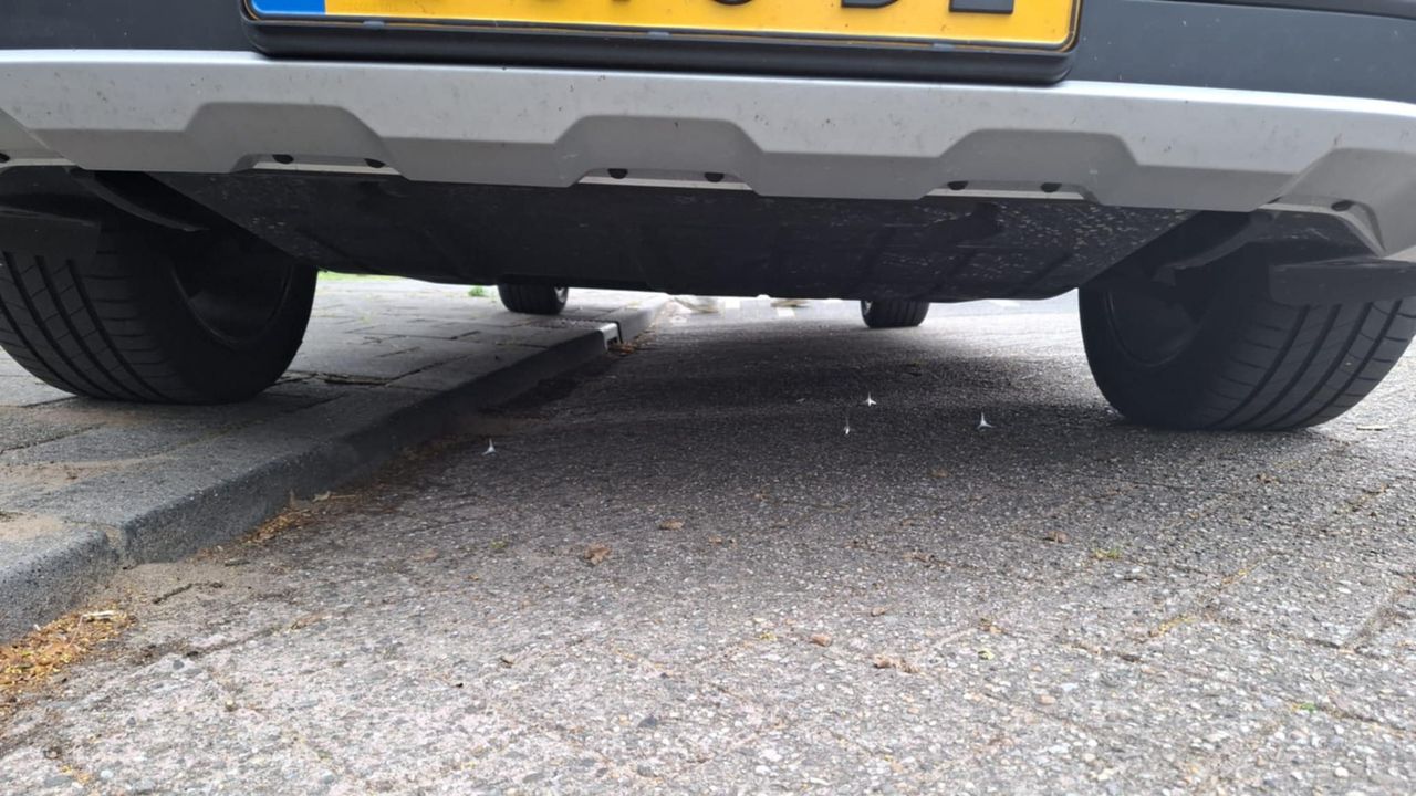 De kraaienpoten onder een auto (foto: Maikel van Gestel).