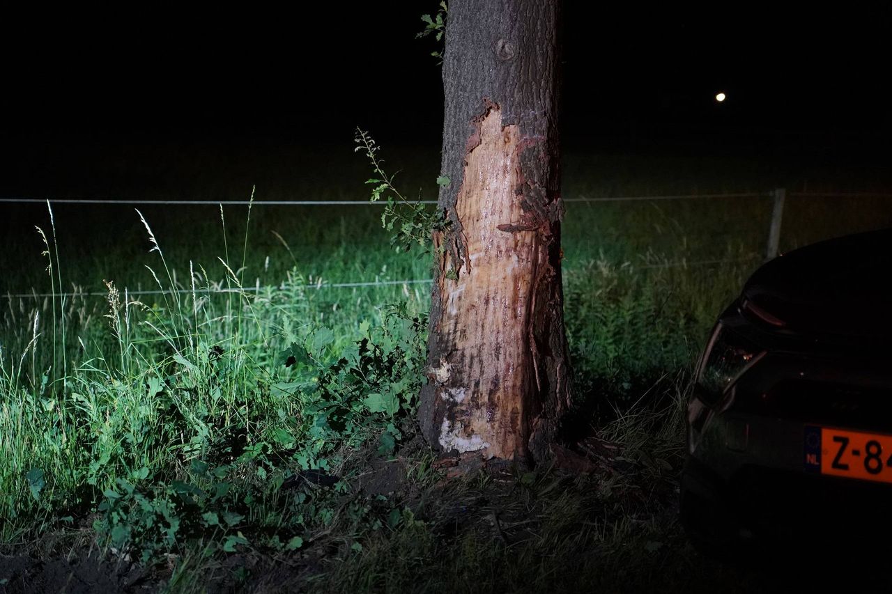 Foto: Jeroen Stuve/Persbureau Heitink.