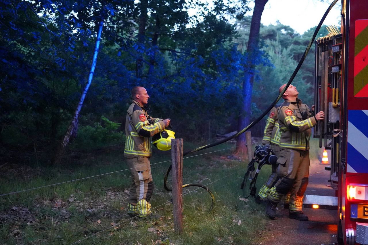 Foto: Jeroen Stuve / Persbureau Heitink 