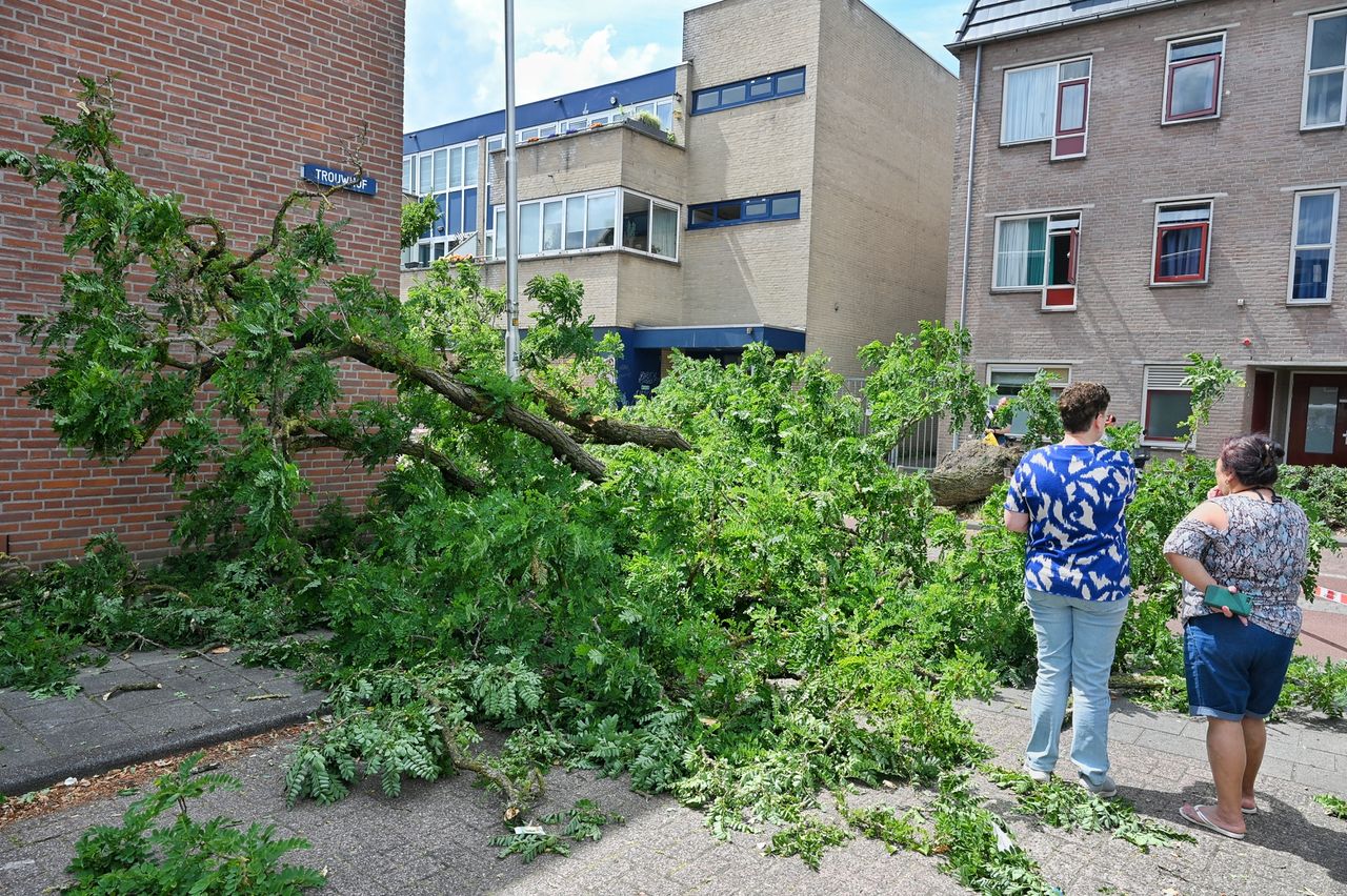 Foto: Toby de Kort/Persbureau Heitink