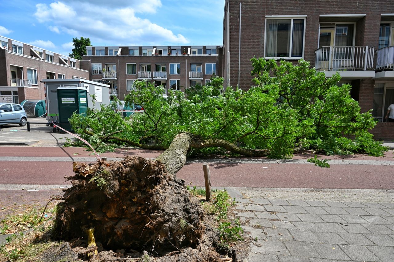 Foto: Toby de Kort/Persbureau Heitink