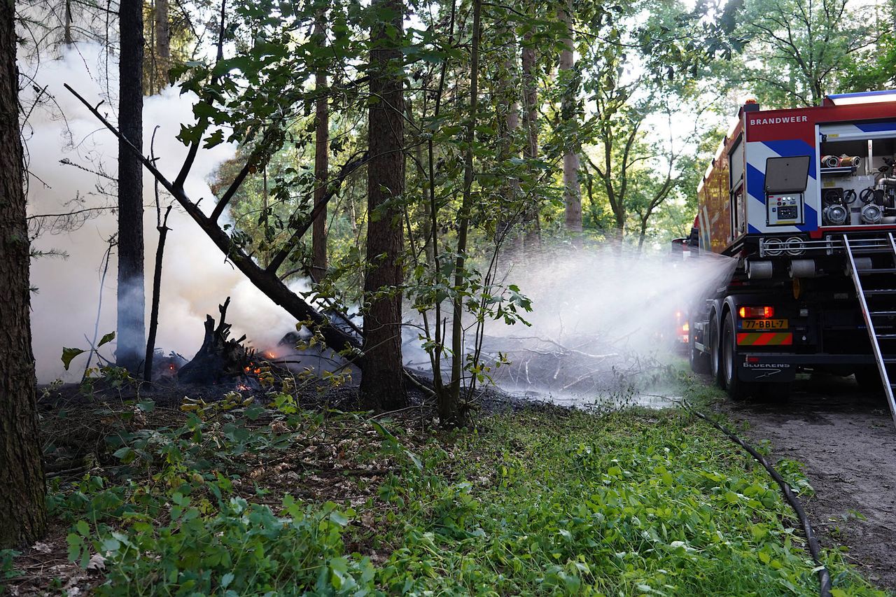 Foto: Jeroen Stuve/Persbureau Heitink.