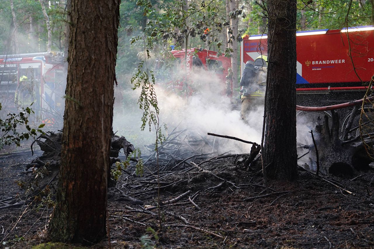 Foto: Jeroen Stuve/Persbureau Heitink.