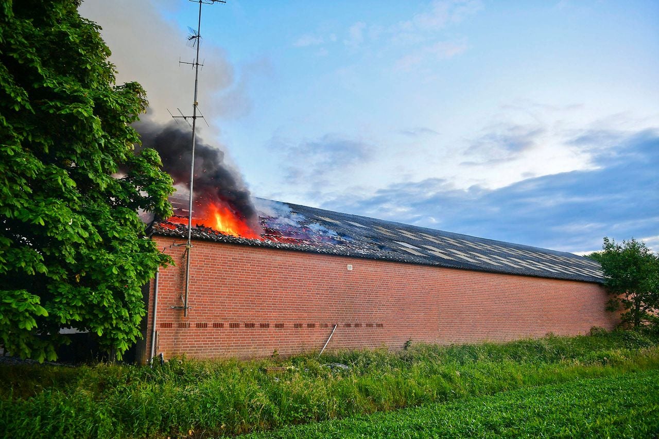 Foto: Rico Vogels / Persbureau Heitink