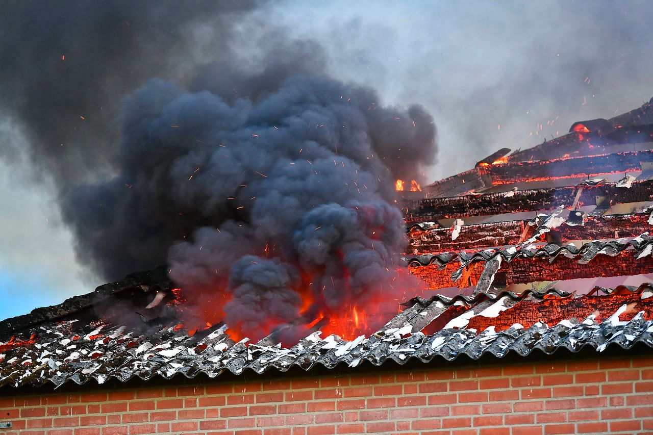 Foto: Rico Vogels / Persbureau Heitink
